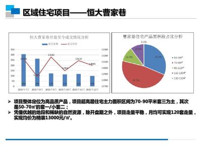 2016年1月成都市中心紅星路地塊市場調研報告（定稿）